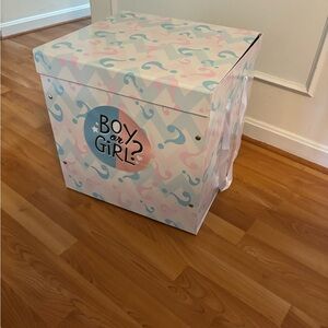 Large Gender Reveal Box with Pink and Blue Design